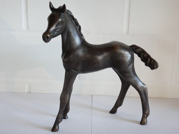 P07-Small_foal
